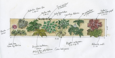 Plan de plantation | Justine Lehu paysagiste